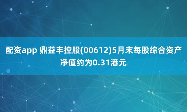 配资app 鼎益丰控股(00612)5月末每股综合资产净值约为0.31港元
