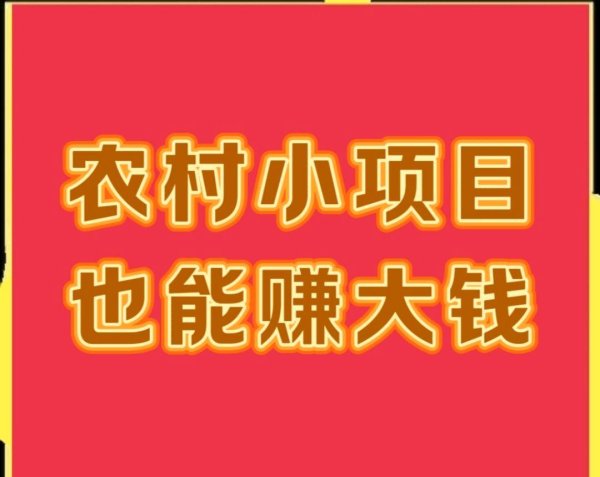 股票配资门户在线阅读 农村小项目也能赚大钱，年入十万真不难，不信来看！