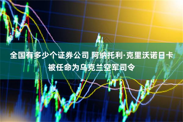 全国有多少个证券公司 阿纳托利·克里沃诺日卡被任命为乌克兰空军司令
