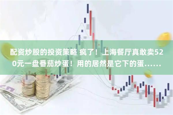 配资炒股的投资策略 疯了！上海餐厅真敢卖520元一盘番茄炒蛋！用的居然是它下的蛋……